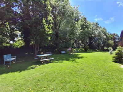 Picture 4